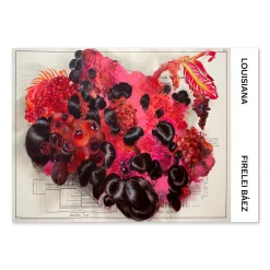 Firelei Báez – Fruta Fina