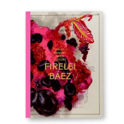 Firelei Báez katalog/catalogue – engelsk