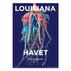 Leopold & Rudolf Blascka – Physophora myzonema. Siphonophore. Glas (1860-1890)