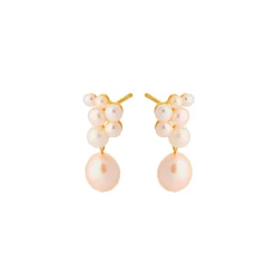 Ørestikker – Ocean Treasure