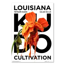 Tetsumi Kudo – Cultivation (1976)